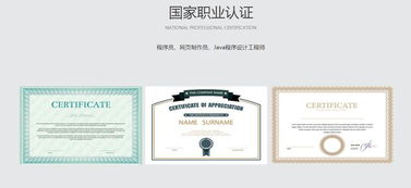 重庆电信职业学院人工智能软件开发专业 聚焦人工智能应用软件开发